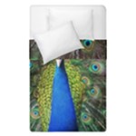 Peacock Bird Feathers Pheasant Nature Animal Texture Pattern Duvet Cover Double Side (Single Size)