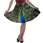 Peacock Bird Feathers Pheasant Nature Animal Texture Pattern A-line Skater Skirt