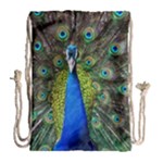 Peacock Bird Feathers Pheasant Nature Animal Texture Pattern Drawstring Bag (Large)