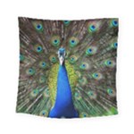 Peacock Bird Feathers Pheasant Nature Animal Texture Pattern Square Tapestry (Small)