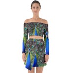 Peacock Bird Feathers Pheasant Nature Animal Texture Pattern Off Shoulder Top with Skirt Set