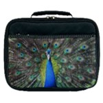 Peacock Bird Feathers Pheasant Nature Animal Texture Pattern Lunch Bag