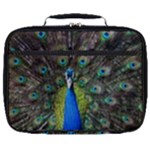 Peacock Bird Feathers Pheasant Nature Animal Texture Pattern Full Print Lunch Bag