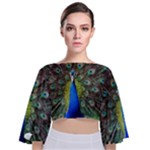 Peacock Bird Feathers Pheasant Nature Animal Texture Pattern Tie Back Butterfly Sleeve Chiffon Top