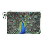 Peacock Bird Feathers Pheasant Nature Animal Texture Pattern Canvas Cosmetic Bag (Large)