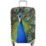 Peacock Bird Feathers Pheasant Nature Animal Texture Pattern Luggage Cover (Large)