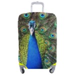 Peacock Bird Feathers Pheasant Nature Animal Texture Pattern Luggage Cover (Medium)