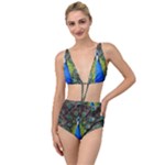 Peacock Bird Feathers Pheasant Nature Animal Texture Pattern Tied Up Two Piece Swimsuit