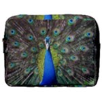 Peacock Bird Feathers Pheasant Nature Animal Texture Pattern Make Up Pouch (Large)