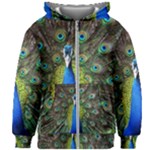Peacock Bird Feathers Pheasant Nature Animal Texture Pattern Kids  Zipper Hoodie Without Drawstring