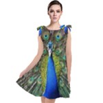 Peacock Bird Feathers Pheasant Nature Animal Texture Pattern Tie Up Tunic Dress