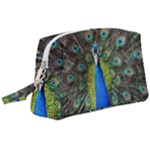 Peacock Bird Feathers Pheasant Nature Animal Texture Pattern Wristlet Pouch Bag (Large)
