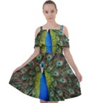 Peacock Bird Feathers Pheasant Nature Animal Texture Pattern Cut Out Shoulders Chiffon Dress