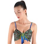 Peacock Bird Feathers Pheasant Nature Animal Texture Pattern Woven Tie Front Bralet