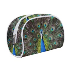 Peacock Bird Feathers Pheasant Nature Animal Texture Pattern Make Up Case (Small) from ZippyPress