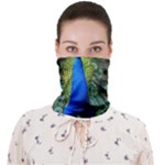 Peacock Bird Feathers Pheasant Nature Animal Texture Pattern Face Covering Bandana (Adult)