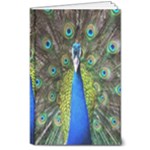 Peacock Bird Feathers Pheasant Nature Animal Texture Pattern 8  x 10  Hardcover Notebook