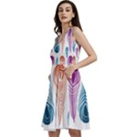 Pen Peacock Colors Colored Pattern Sleeveless V-Neck Skater Dress with Pockets
