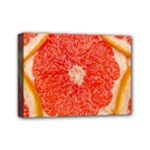 Grapefruit-fruit-background-food Mini Canvas 7  x 5  (Stretched)