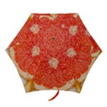 Grapefruit-fruit-background-food Mini Folding Umbrellas