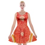 Grapefruit-fruit-background-food Velvet Skater Dress