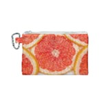 Grapefruit-fruit-background-food Canvas Cosmetic Bag (Small)