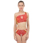 Grapefruit-fruit-background-food Spliced Up Two Piece Swimsuit