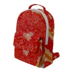 Grapefruit-fruit-background-food Flap Pocket Backpack (Large)