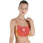 Grapefruit-fruit-background-food Layered Top Bikini Top 