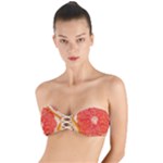 Grapefruit-fruit-background-food Twist Bandeau Bikini Top