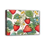 Strawberry-fruits Mini Canvas 7  x 5  (Stretched)