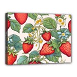 Strawberry-fruits Canvas 16  x 12  (Stretched)