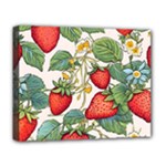 Strawberry-fruits Deluxe Canvas 20  x 16  (Stretched)