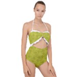 Stylized Botanic Print Scallop Top Cut Out Swimsuit
