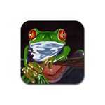 Tree Frog Rubber Coaster (Square)
