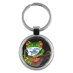 Tree Frog Key Chain (Round)