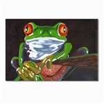 Tree Frog Postcards 5  x 7  (Pkg of 10)