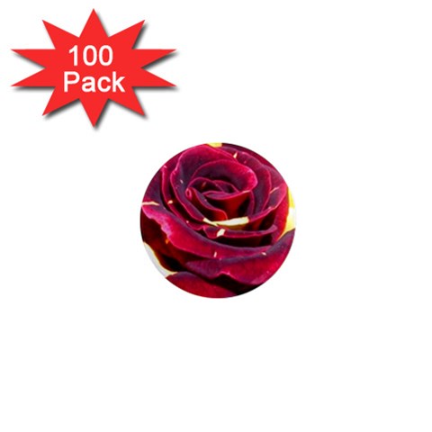 Rose 2 1  Mini Magnet (100 pack)  from ZippyPress Front