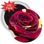 Rose 2 3  Magnet (100 pack)
