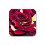 Rose 2 Rubber Square Coaster (4 pack)