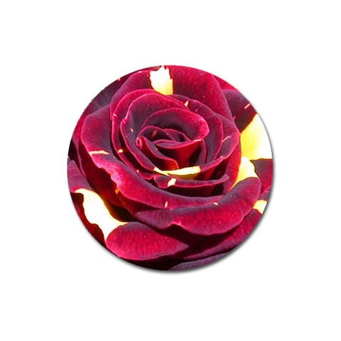 Rose 2 Magnet 3  (Round) from ZippyPress Front