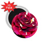 Rose 1 2.25  Magnet (10 pack)
