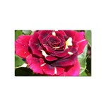 Rose 1 Sticker (Rectangular)