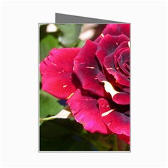 Rose 1 Mini Greeting Card from ZippyPress Right