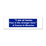 Fear1 Bumper Sticker 100 Pack