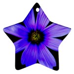 Purple Bloom Star Ornament