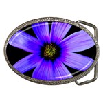 Purple Bloom Belt Buckle (Oval)