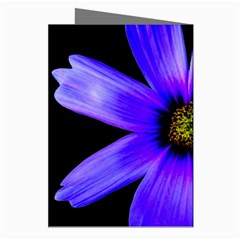 Purple Bloom Greeting Card (8 Pack) from ZippyPress Right