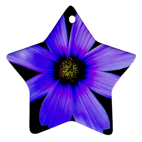 Purple Bloom Star Ornament (Two Sides) from ZippyPress Front