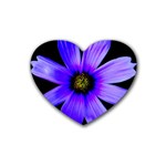 Purple Bloom Drink Coasters 4 Pack (Heart) 